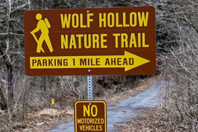 Wolf Hollow Nature Trail in Glenville